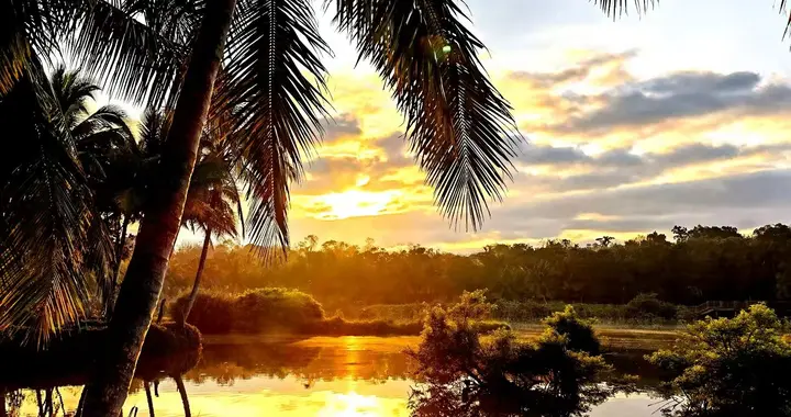 以善念待人，以善行处事，以善心自省