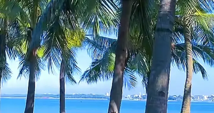 别处是生活，这里是诗与海鲜——湛江，一座让你想赖着不走的城市