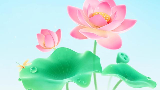 汤姐的大千世界：我和