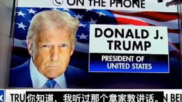 彼得堡的肥天鹅