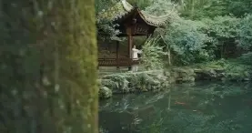 帝寒金温 | 肝郁了？走出去，气血自活