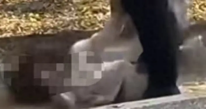 苏州外婆当街暴打外甥女！一脚踢飞滚下去，原因曝光，果然有隐情