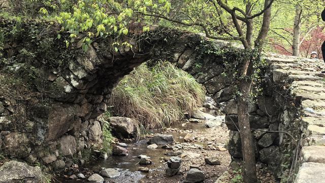 蒋华勤：【热评】这种行为的伤害是多重的