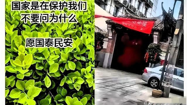 潘多拉魔盒：最近回了趟老家，发现村口那座