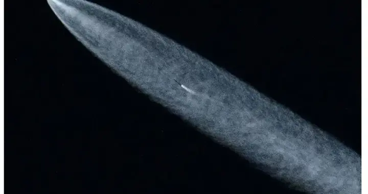 日本版“星链”，一场抑或注定失败的豪赌