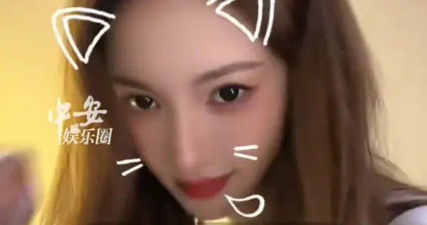 金晨肇事逃逸“4大细节全拆解”：顶包、骗保与迟到11个月的真相