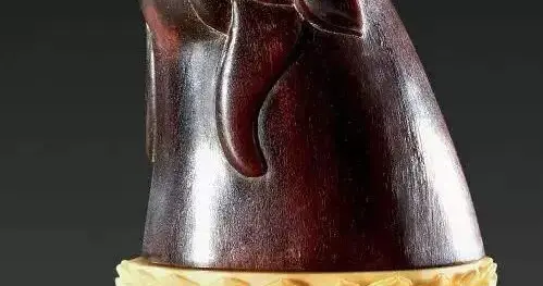 “心有灵犀一点通”里的犀角是啥品种？探秘