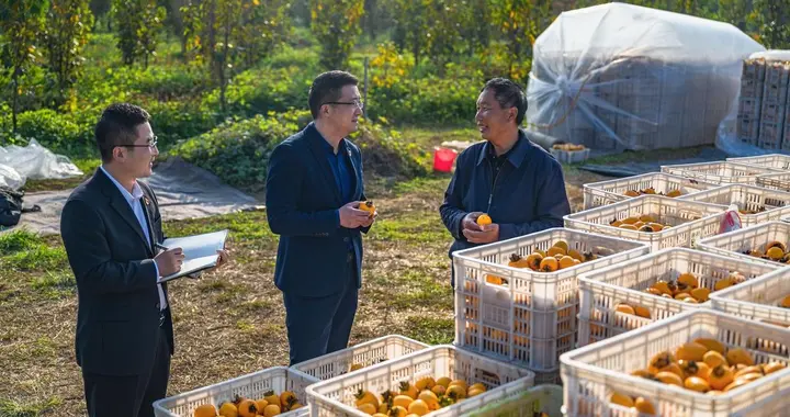 西安公路系统震荡！原局长李鼎乐被查，反腐利剑斩交通领域"硕鼠"