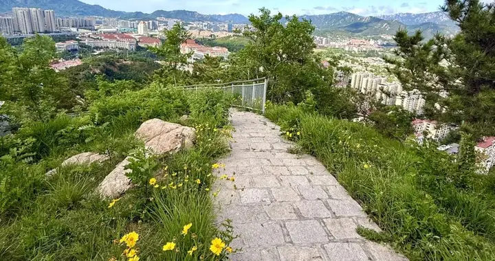 人少花清幽 青岛这个免费小山真是懒人徒步天花板
