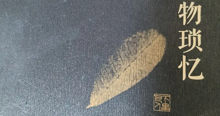 陈巨来回忆 陆小曼 二