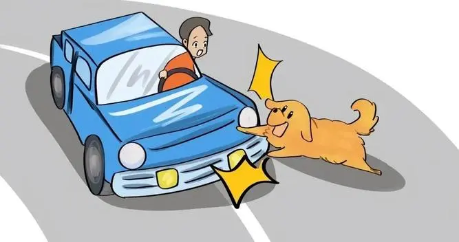 按喇叭驱狗竟遭报复！广州轿车被俩狗拆了，维修费2000元