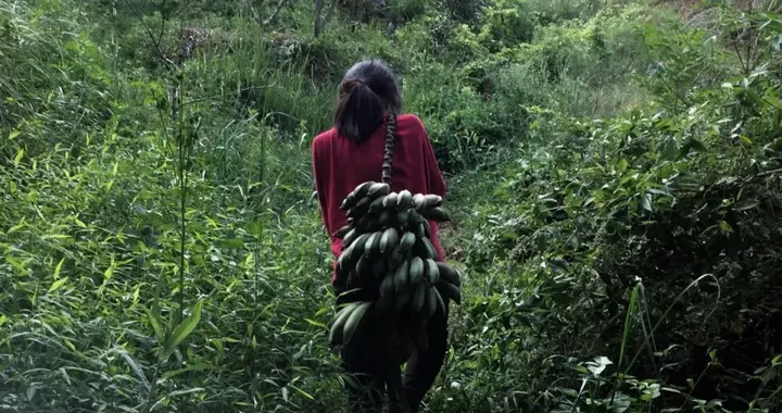 自己建房，在家分娩，山居7年后，我亲手告别了“田园梦”