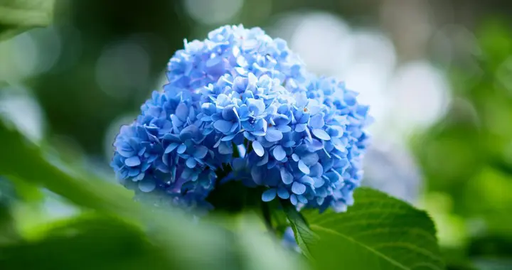 12年前前夫闹离婚，婆婆选择跟我过，如今前夫回头我直言不会回头