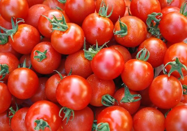 番茄|二酰胺杀虫剂氰虫酰胺在番茄植株中的持久性和代谢