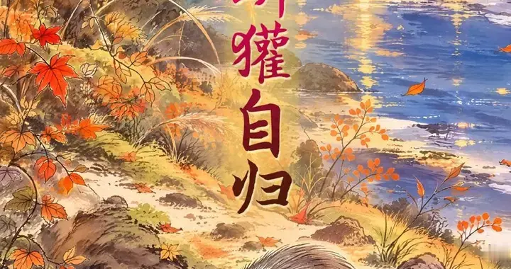 为了让狗獾回归，上海人做了什么？如今它们可以安心贴秋膘