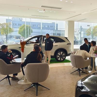 车讲师：20万级插混SUV，亏电就变“肉