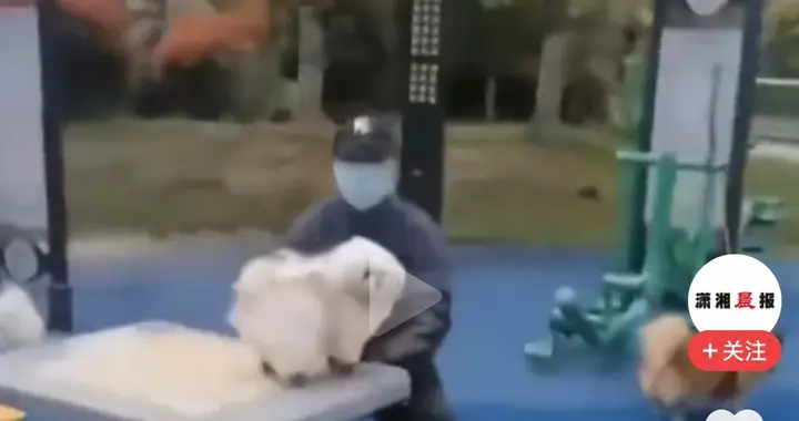 健身区给狗梳毛：别让私权越了公共的界