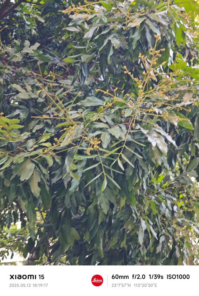 错误不在于我们不知道