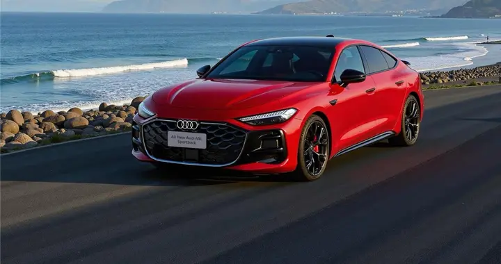 车窗膜就这4页纸，你真不看啊