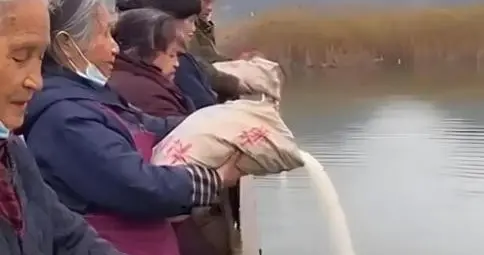 辽宁海边倒大米算“放生”？佛门急喊停，新规真能刹住这股歪风？