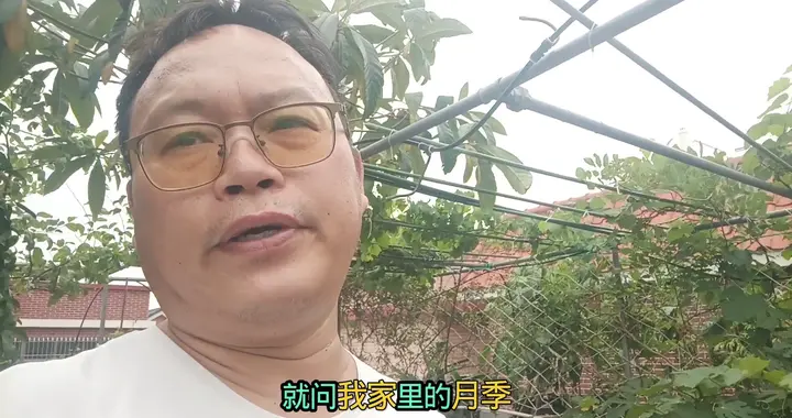 教你一招，消灭虫子！养花不怕红蜘蛛、蓟马