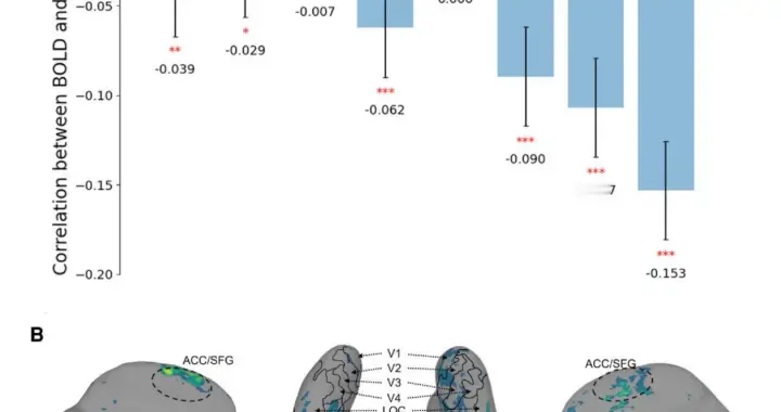 你觉得美，可能是大脑在偷偷节能｜光锥读论文