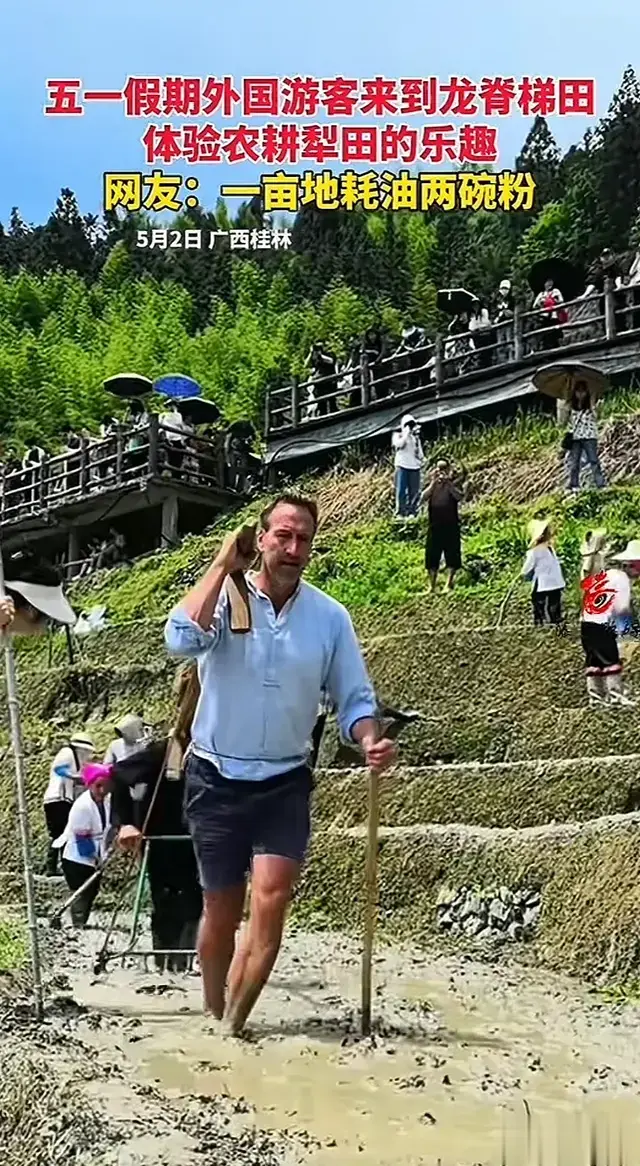 外国友人深度体验耕田，非体验一次做牛马，而我是真正的职场牛马