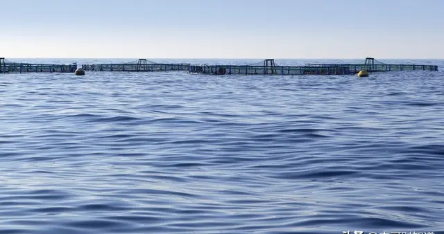 我国远洋渔业基地建设规划面临哪些具体挑战？