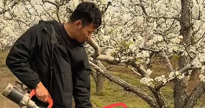 厉怀远沉寂归来后续：不互撕只种地？反遭网友逼离婚！