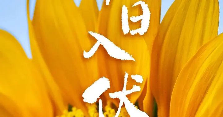 今天，入伏（有40天）