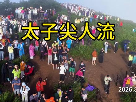 洗头局 8.23太子尖人流