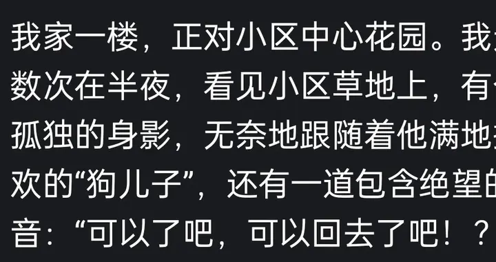 为什么大家突然都开始人均养猫了呢？猫咪是地球上最适合我的存在