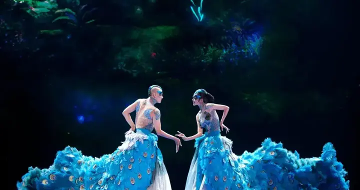 舞台孔雀折翼，44岁舞者王迪离世，杨丽萍痛失知己