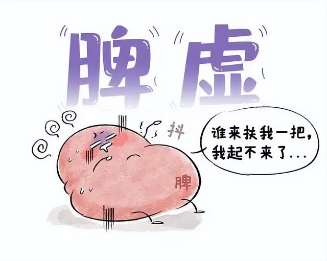 养脾就是养命！少年养脾四君子，中年用归脾，老年养脾附子理中！