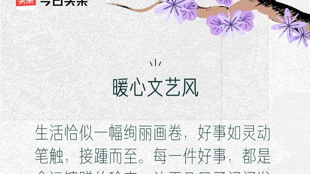 拯救爬山虎的脚