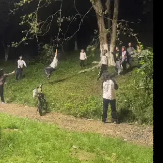 小冉讲故事：在公园看到一群孩子爬树荡秋千