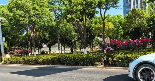 通过豆包查出的云南新十奇，你是否有同感？