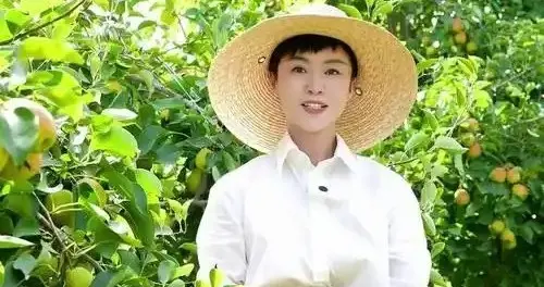 继谷智鑫被马踩瘫痪后，网红干部贺娇龙坠马，没去世还在医院治疗