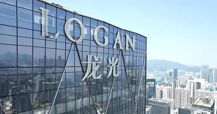 龙光集团子公司破产清算