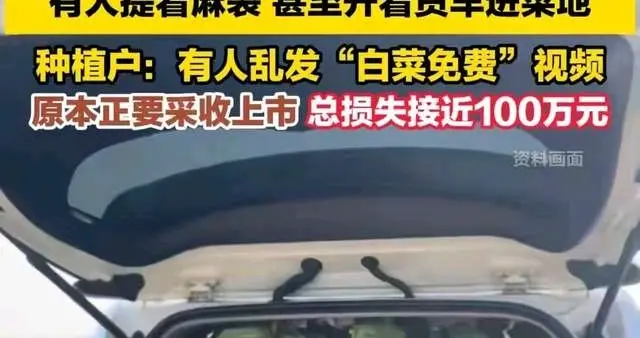 后续！内蒙200亩白菜遭哄抢，首发造谣者曝光，评论区瞬间沦陷