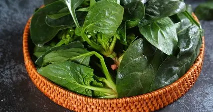 菠菜界“爱马仕”出圈，河南特产集体走红