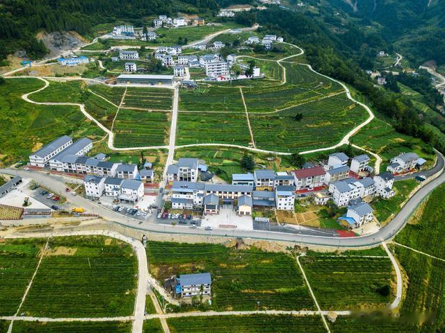 2025政策红利，“五大稳”出炉！农民腰包、饭碗、日子全包了