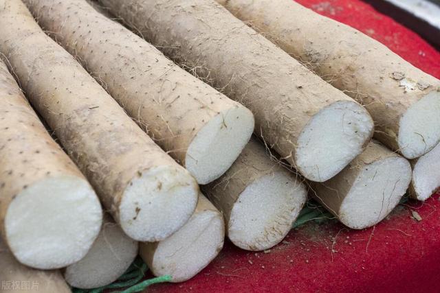 出伏后最凶险的30天，多吃这5种食物，让你一年“病不沾身”