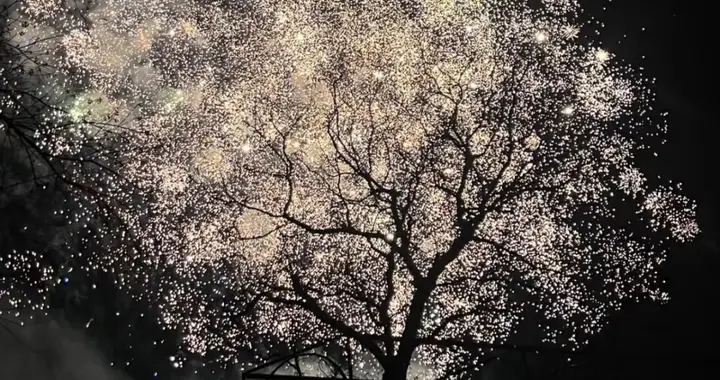 随手一拍的照片，却获得万人点赞！太美了