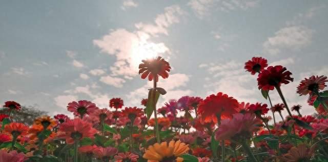 女儿要嫁快递员，我在婚礼上送出一份特殊嫁妆