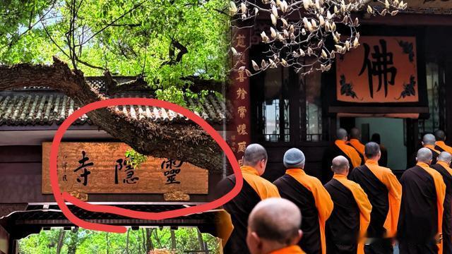 财源广靳亮哥：  灵隐寺里那群年轻僧人