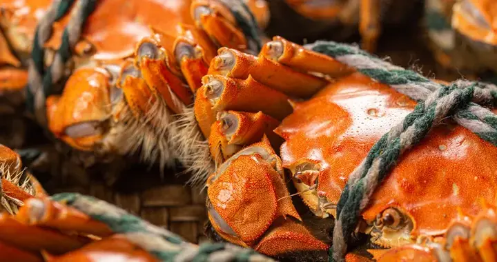 公蟹好还是母蟹好？这些人吃螃蟹可能有害