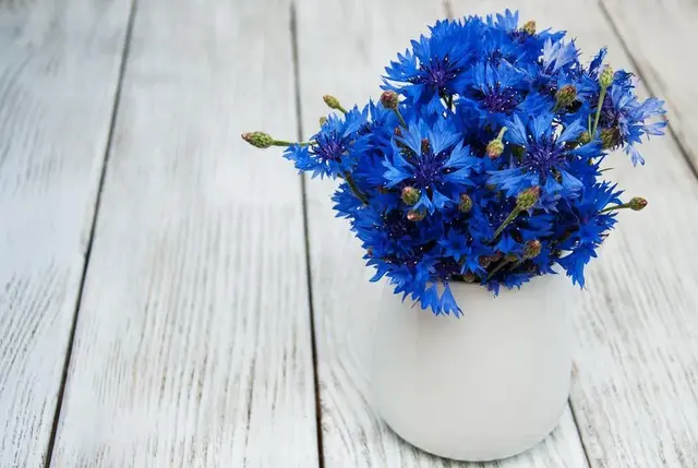 家长要懂得和孩子耍心眼：想孩子优秀，妈妈先学会“三个装”