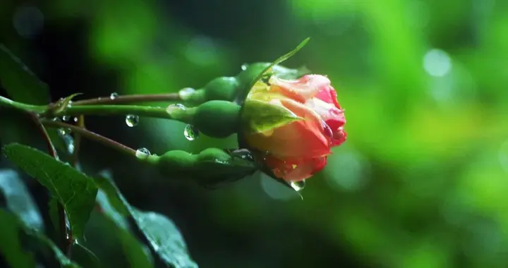 男女之间怎样谈恋爱，才会越谈越爱