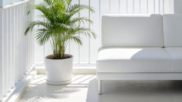 徐徐在养心：2026年4月10日龙虎榜